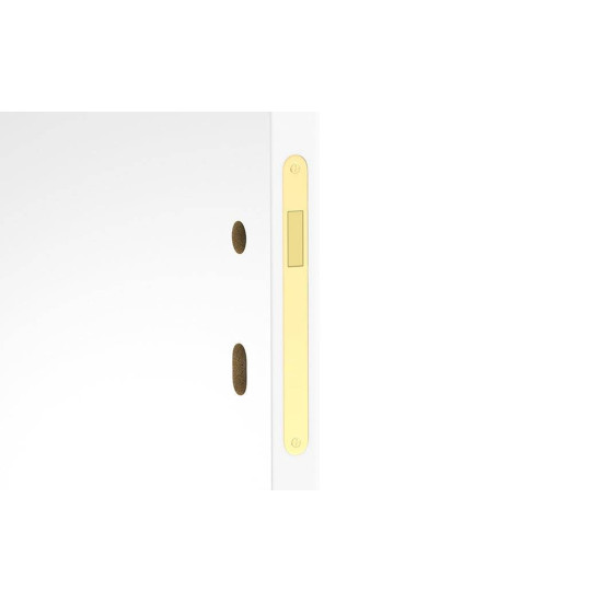 Broasca magnetica auriu lucios 85/50 yala