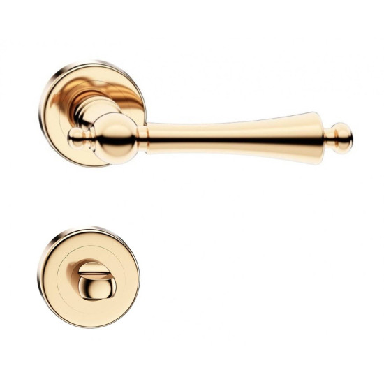 Manere usi CENTURY auriu lucios cu rozeta wc