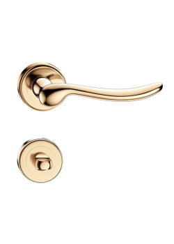 Manere usi Classica auriu lucios cu rozeta wc