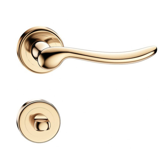 Manere usi Classica auriu lucios cu rozeta wc