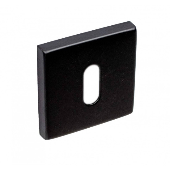 Manere usi CLIO ( 1010 ) negru cu rozeta cheie