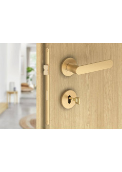 Manere usi DORO ( COMFY ) auriu mat cu rozeta cheie