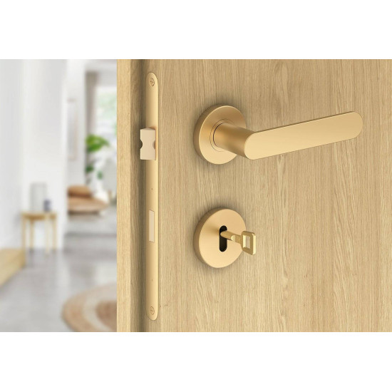 Manere usi DORO ( COMFY ) auriu mat cu rozeta cheie