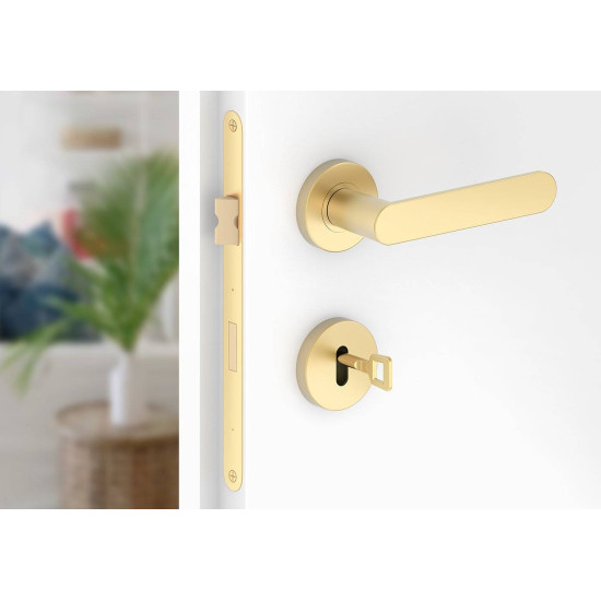 Manere usi DORO ( COMFY ) auriu mat cu rozeta cheie