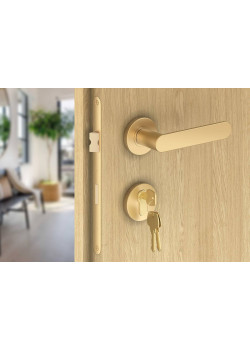 Manere usi DORO ( COMFY ) auriu mat cu rozeta yala