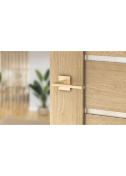 Manere usi ELSA auriu satin lucios