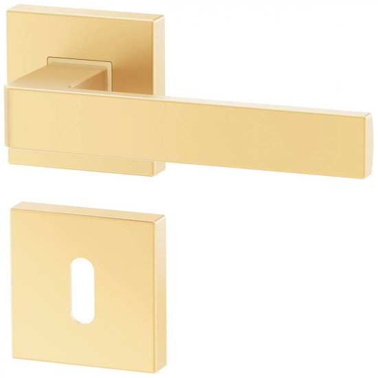 Manere usi ERGO auriu mat cu rozeta cheie