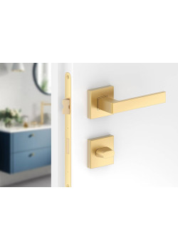 Manere usi ERGO auriu mat cu rozeta wc