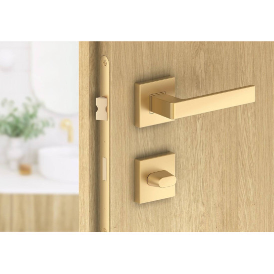 Manere usi ERGO auriu mat cu rozeta wc