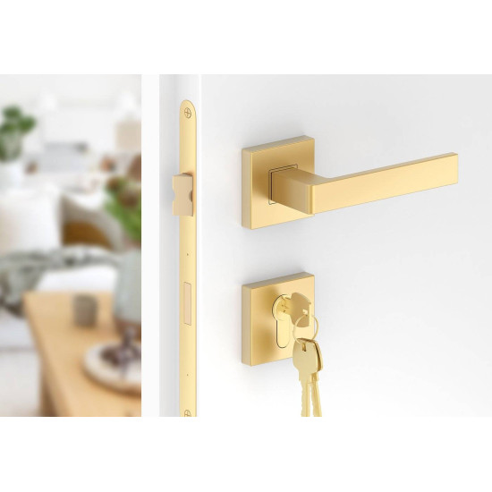 Manere usi ERGO auriu mat cu rozeta yala