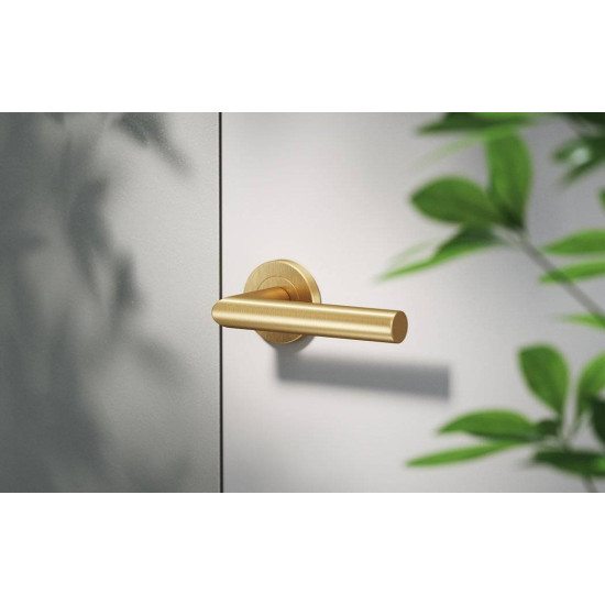 Manere usi NOVA auriu PVD cu rozeta wc