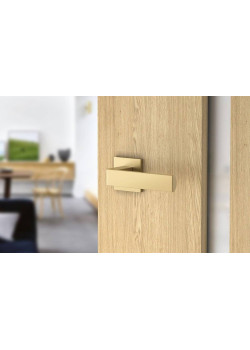 Manere usi RUMBA FIT auriu perlat mat cu rozeta wc