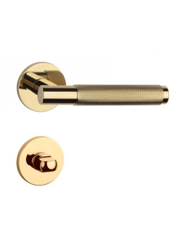 Manere usi Time ( Molinia ) auriu lucios cu rozeta wc