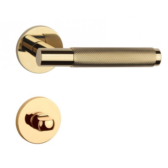 Manere usi Time ( Molinia ) auriu lucios cu rozeta wc