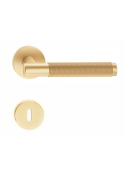 Manere usi TIME auriu satin cu rozeta cheie