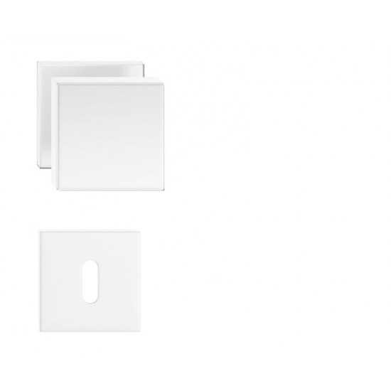 Set butoni Aegis mobili alb mat cu rozeta cheie