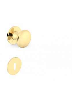 Butoni mobili Orbis slim auriu lucios cu rozeta cheie