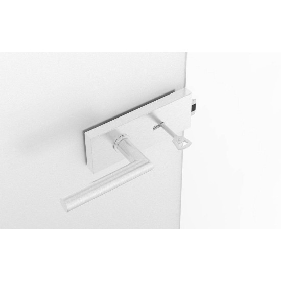 Set complet usi sticla inox cu balamale orizontale cheie