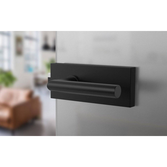 Set complet usi sticla negru mat cu balamale orizontale cheie