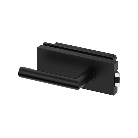 Set complet usi sticla negru mat cu balamale orizontale ORB