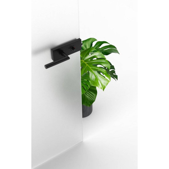 Set complet usi sticla negru mat cu balamale orizontale wc